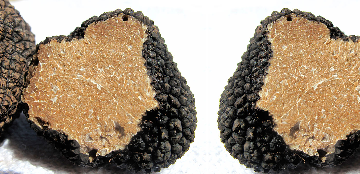 Truffle and Wine